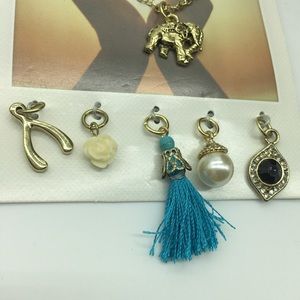 LAURA JANELLE Necklace Set EnCHARMing 6 Pendants